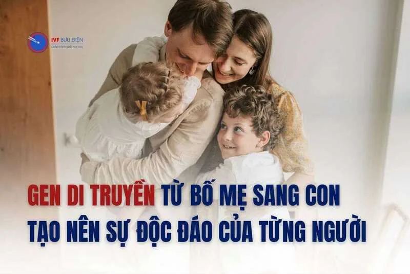 Con cái nhận thông tin di truyền từ cả cha và mẹ, tạo nên bộ gen riêng của mỗi cá nhân. Con cái nhận thông tin di truyền từ cả cha và mẹ, tạo nên bộ gen riêng của mỗi cá nhân.