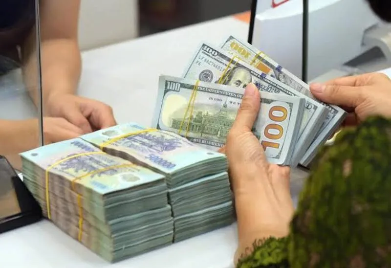 Theo dõi tỷ giá USD cần ưu tiên nguồn chính thức và kiểm tra thời điểm cập nhật