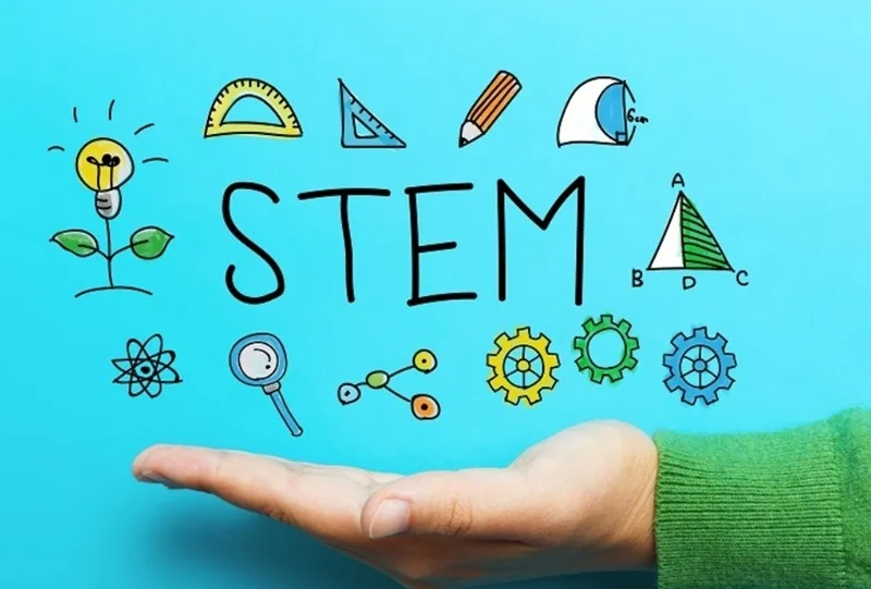 stem la mon gi