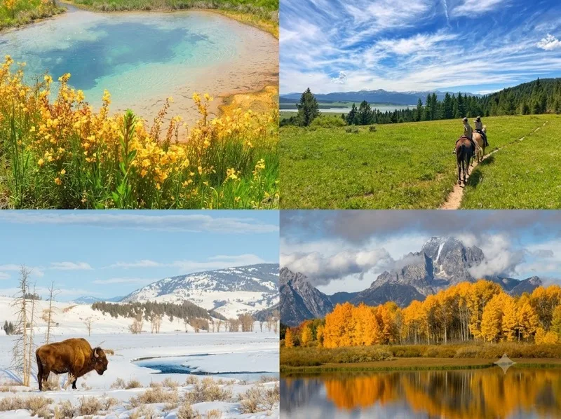 Yellowstone là biểu tượng toàn cầu về bảo tồn thiên nhiên và hệ sinh thái